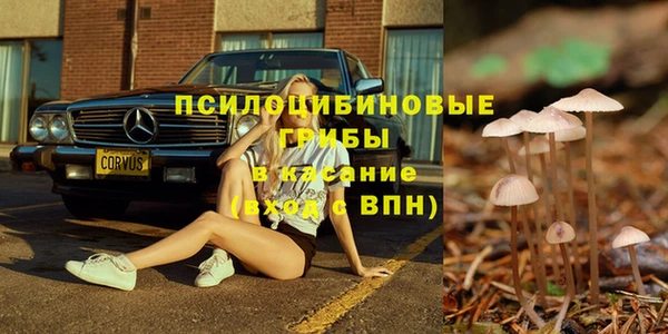 дурь Абинск