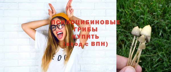 мет Абаза