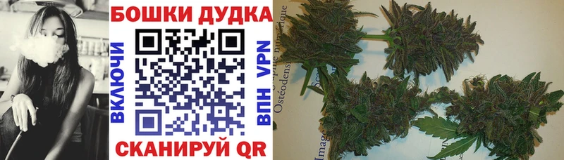 Каннабис планчик  наркота  Новосибирск 